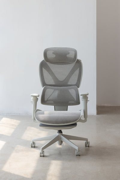 COFO 專業級工學椅 Pro 2