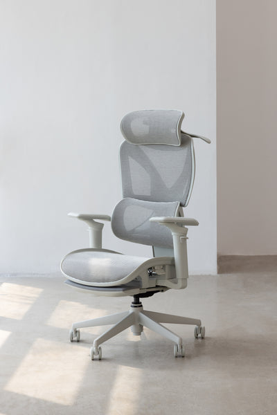 COFO 專業級工學椅 Pro 2