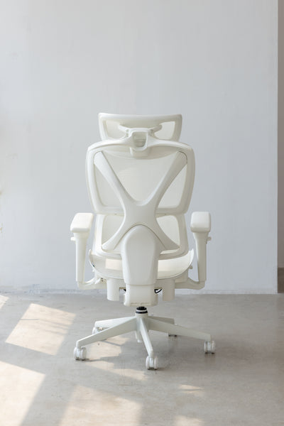 COFO 專業級工學椅 Pro 2