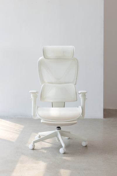 COFO 專業級工學椅 Pro 2